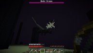 Project 10: Chasing The Dragon