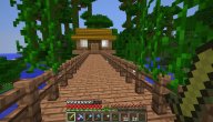 Project 15: The cats and the jungle