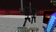 Project 41: Nether Earth Skull Fields