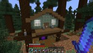 Project 33: The dogs and the redwood forest
