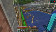 Project 58: The Vegetable Trenches Re-Xarqed